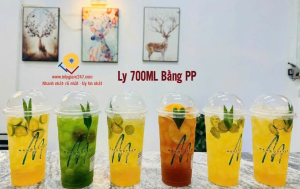 in ly giá rẻ 700ml inlygiare247